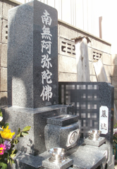 納入事例